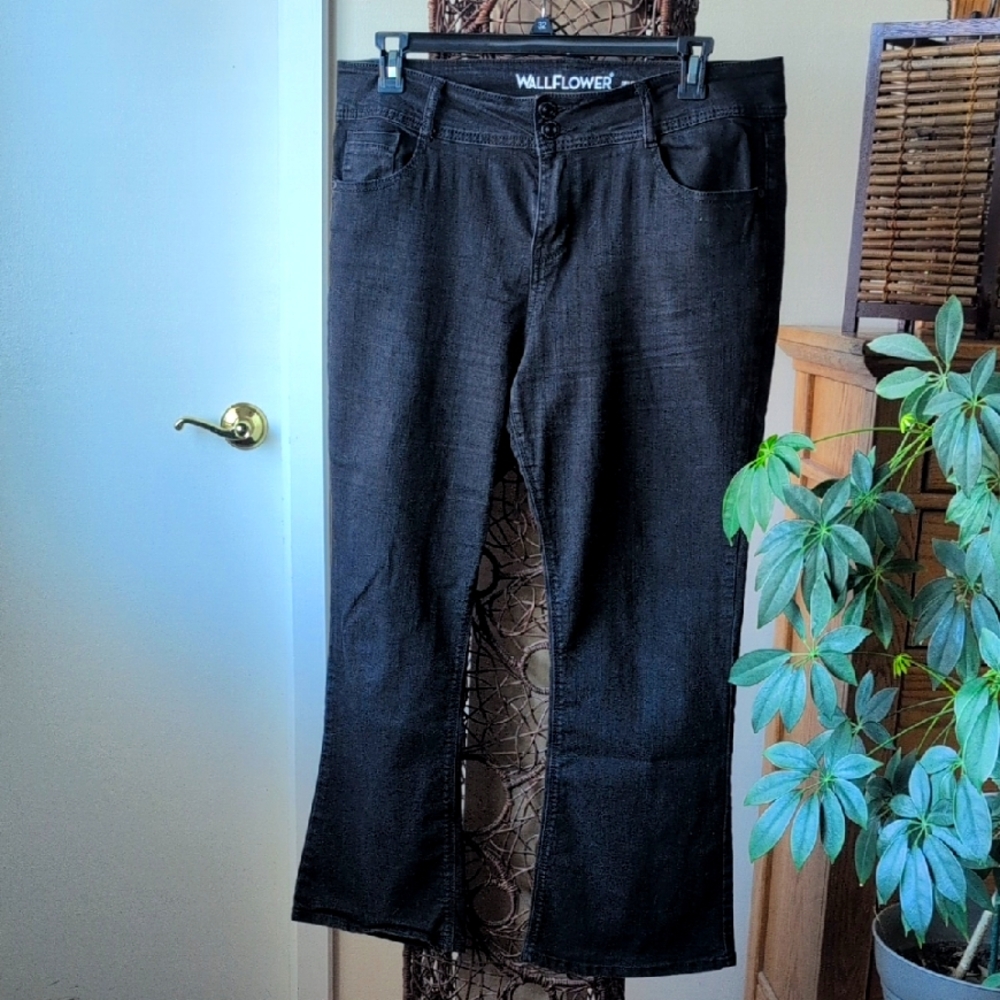 Wallflower - Luscious Curvy Fit - 17 Short